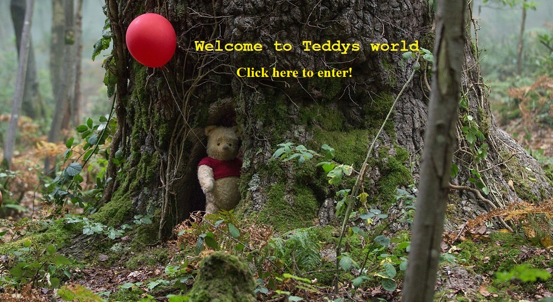 Welcome to Teddys world